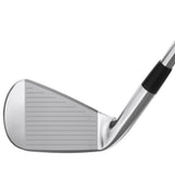 Mizuno Pro 245 Irons - Steel