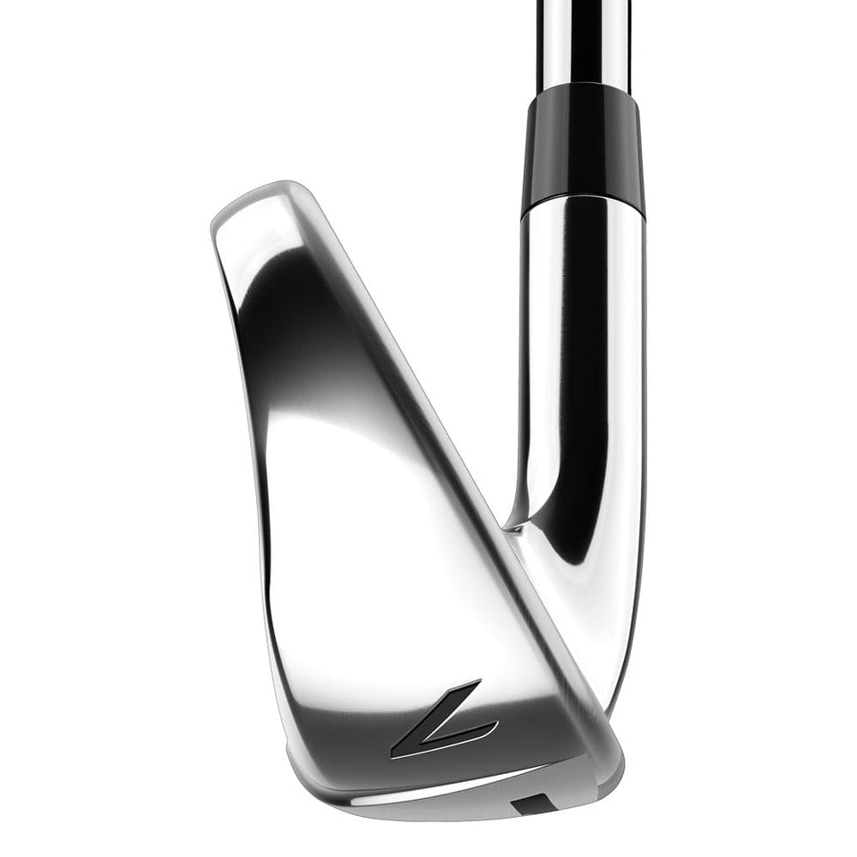 TaylorMade RBZ 2 11-Piece Cart Bag Package Set - Steel