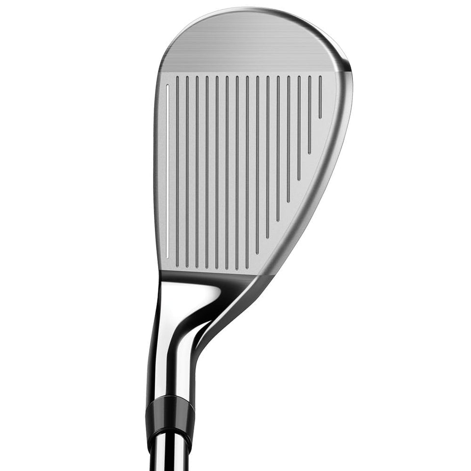 TaylorMade RBZ 2 11-Piece Cart Bag Package Set - Steel