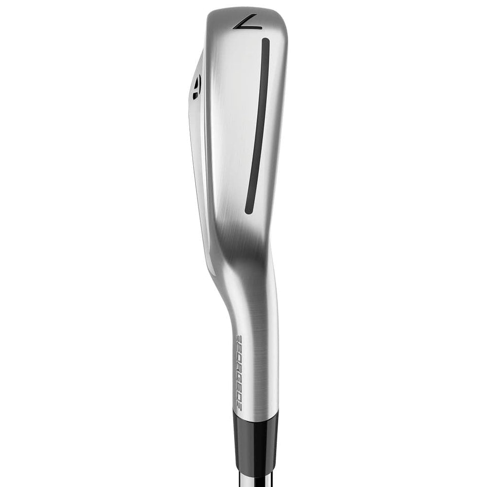 TaylorMade P790 Irons - Steel