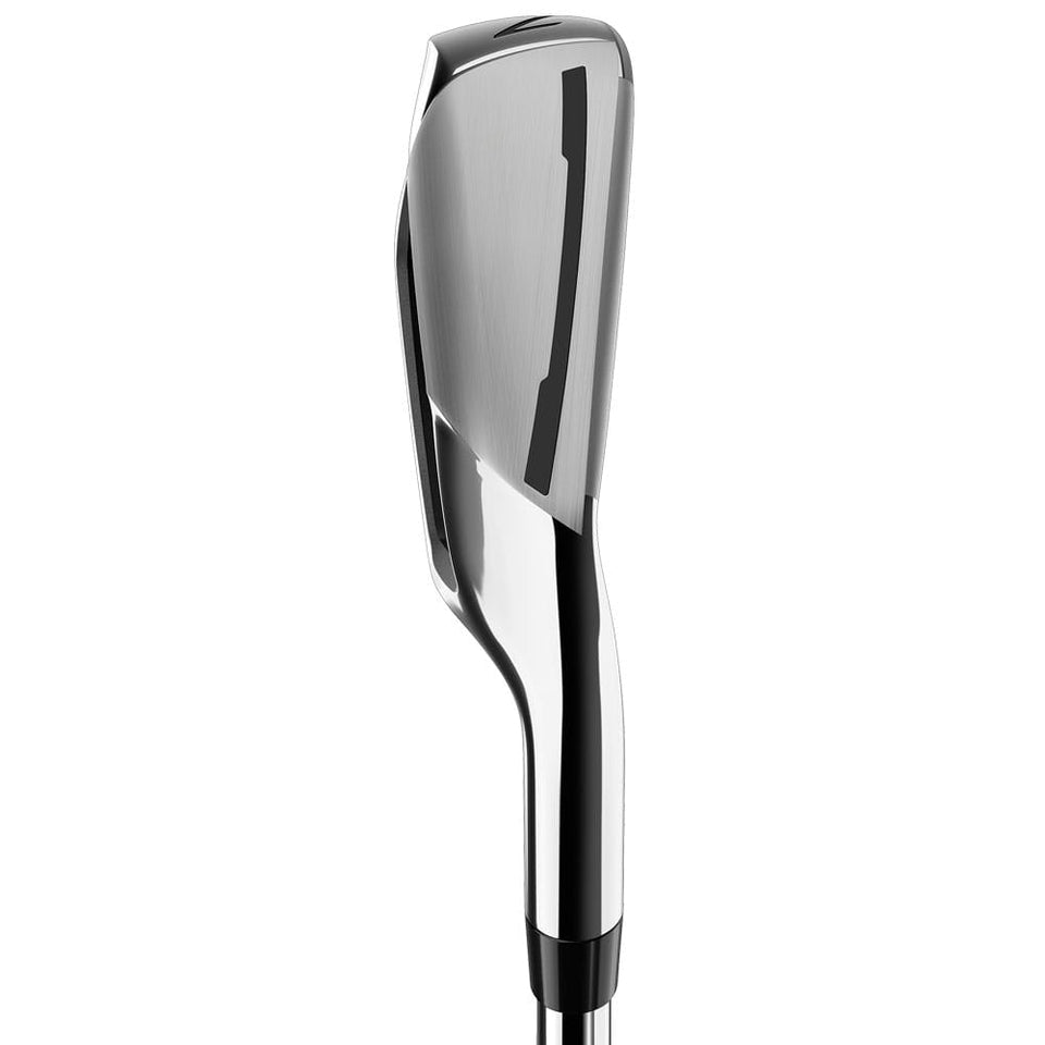TaylorMade RBZ 2 11-Piece Cart Bag Package Set - Graphite